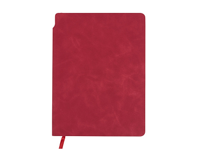 Блокнот в гибкой обложке А5 Notepeno Max