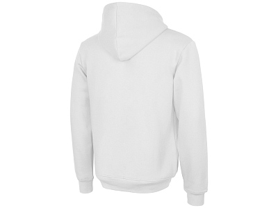 Толстовка с капюшоном Amsterdam мужская