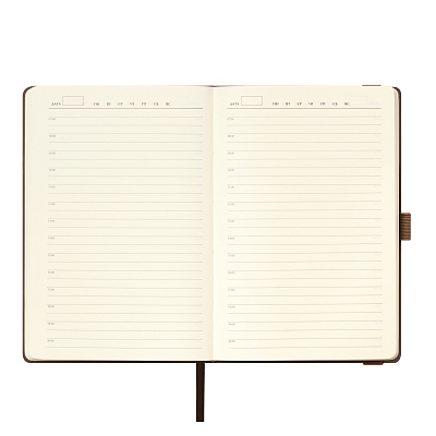 Ежедневник Альфа (Alpha) недатированный, коричневый/бежевый