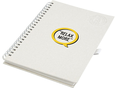 Блокнот на спирали А5 Dairy Dream