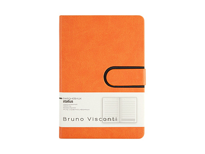 Ежедневник недатированный А5 Status