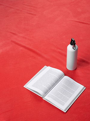 Дорожный плед Voyager 2, розовый (коралловый)