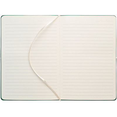 Ежедневник Kuka, недатированный, зеленый