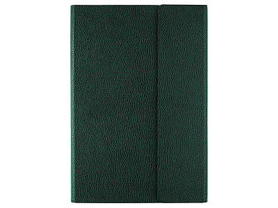 Ежедневник недатированный с магнитным клапаном А5 Venezia