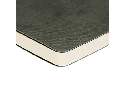 Ежедневник недатированный А5 Megapolis Urban