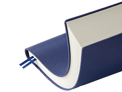 Ежедневник недатированный А5 Grand