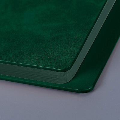 Ежедневник недатированный Solas, формат А5, с магнитом, зеленый, кремовый блок в линейку