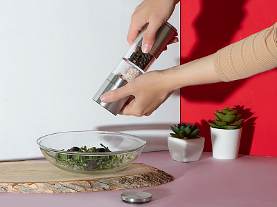 Двойная механическая мельница Twin