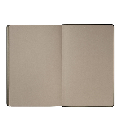 Ежедневник Рейн (Rain) недатированный, серый (без упаковки, без стикера)