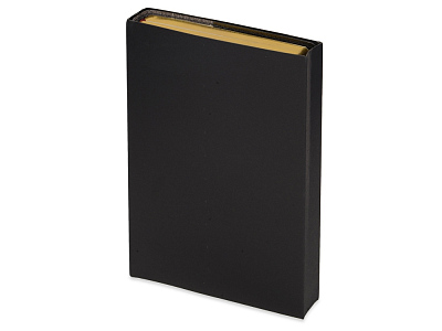 Ежедневник полудатированный портфолио А5 Profy