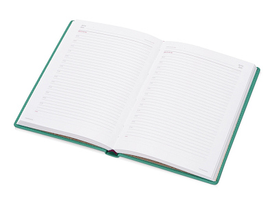 Ежедневник недатированный А5 Velvet