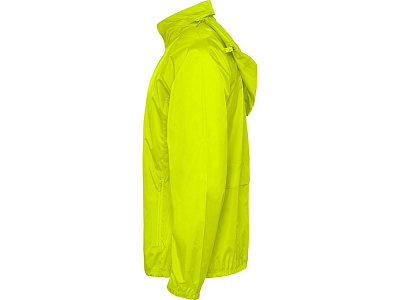 Ветровка Kentucky мужская