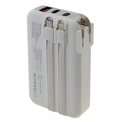 ПЗУ с функцией СЗУ Perfeo PLUG 10000, черный