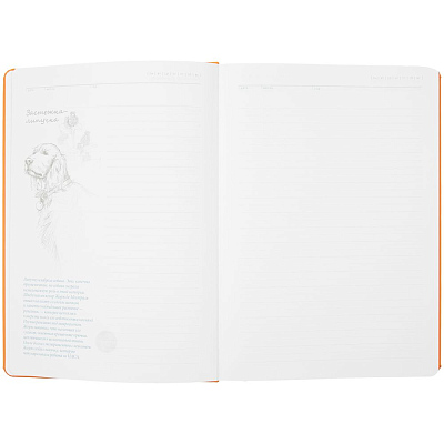 Ежедневник «История изобретений», недатированный, оранжевый