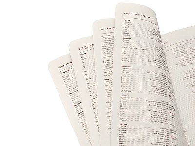 Ежедневник недатированный А5 Parliament