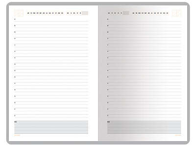 Ежедневник недатированный А5 Mercury