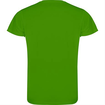 Спортивная футболка CAMIMERA мужская, ПАПАРОТНИКОВЫЙ 2XL
